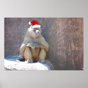 Weihnachtsaffen und Baboons Poster