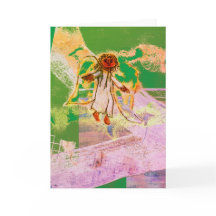 Weihnachtsanker freuen sich über Urlaub