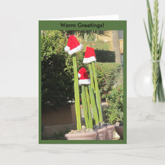 Weihnachtsarizona-Art! Feiertagskarte