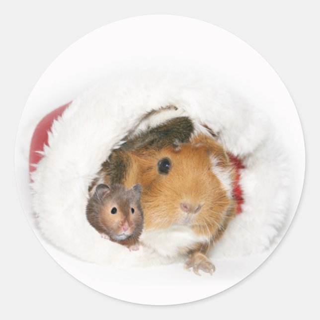 Weihnachtsaufkleber Runder Aufkleber (Vorderseite)