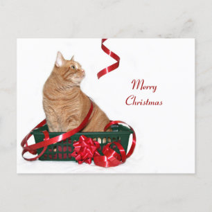 Weihnachtsbändchen Feiertagspostkarte