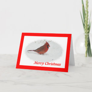 Weihnachtsbär Feiertagskarte