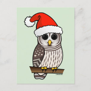 Weihnachtsbarot Owl Santa Feiertagspostkarte