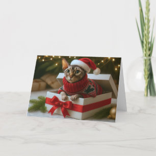 Weihnachtsbart & Falten Karte