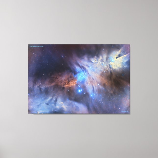 Weihnachtsbaum-Cluster - ausgezeichnet Leinwanddruck (Vorderseite)