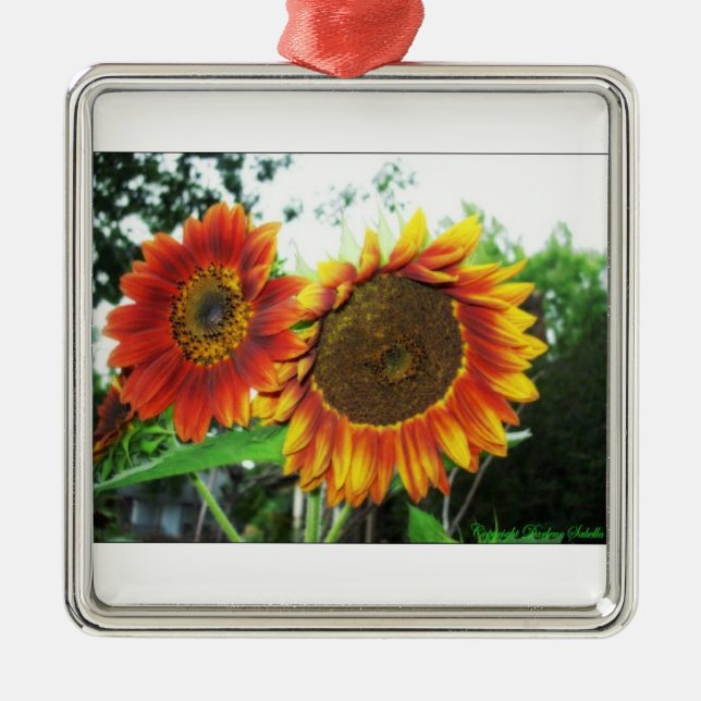 Weihnachtsbaum-Flora-Verzierung Ornament Aus Metall (Vorne)