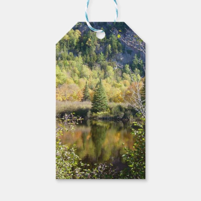 Weihnachtsbaum-Geschenkanhänger Geschenkanhänger (Vorderseite)
