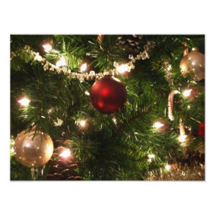 Weihnachtsbaum I Urlaub Hübsch grün und rot Fotodruck