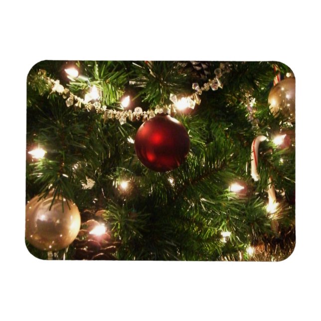 Weihnachtsbaum I Urlaub Hübsch grün und rot Magnet (Horizontal)