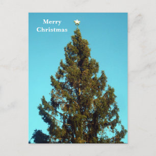 Weihnachtsbaum im Trafalgar Square Holiday Postcar Feiertagspostkarte