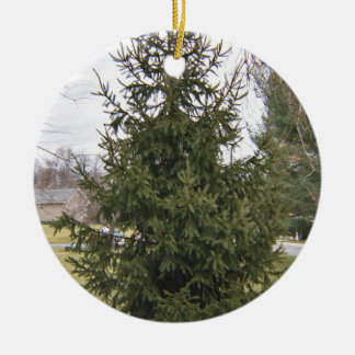 Weihnachtsbaum Keramik Ornament