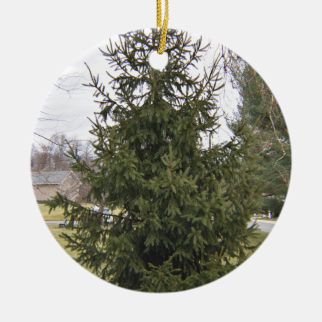 Weihnachtsbaum Keramik Ornament (Vorne)