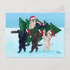 Weihnachtsbaum Labradors im Schneefeld Feiertagspostkarte