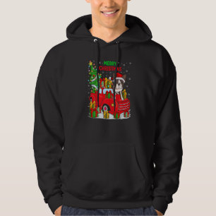 Weihnachtsbaum Roter LKW Beleuchtung Boston Terrie Hoodie