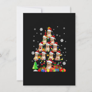 Weihnachtsbaum Santa Cavapoo Weihnachtsleuchten Sa Einladung