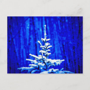 Weihnachtsbaum, Schnee, Zaubernacht Postkarte