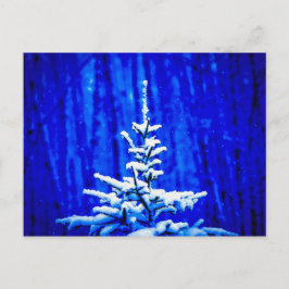 Weihnachtsbaum, Schnee, Zaubernacht Postkarte