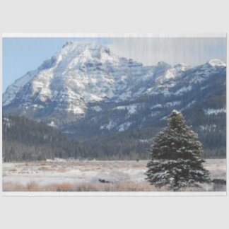 Weihnachtsbaum Seidenpapier