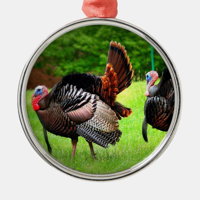 Weihnachtsbaum-Verzierung Toms die Türkei Silbernes Ornament (Vorne)