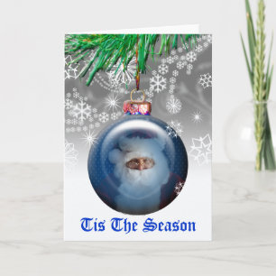 Weihnachtsbaum Weihnachtsbaum Einrichtung Fotovorl Feiertagskarte