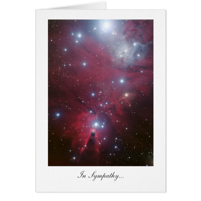 Weihnachtsbaumcluster - im Beileid (Vorne)