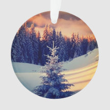 Weihnachtsbaumdekoration