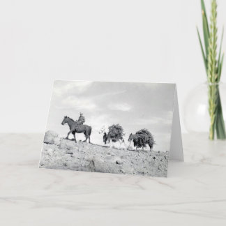 Weihnachtsbäume heraus verpacken feiertagskarte