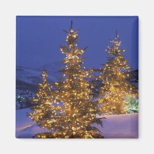 Weihnachtsbäume, Park City, Wastch Berge, 2 Magnet