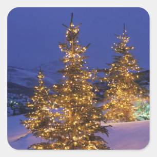 Weihnachtsbäume, Park City, Wastch Berge, 2 Quadratischer Aufkleber
