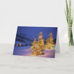 Weihnachtsbäume, Park City, Wastch Berge, Feiertagskarte
