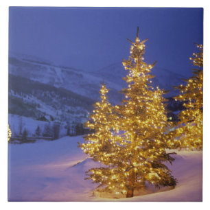 Weihnachtsbäume, Park City, Wastch Berge, Fliese