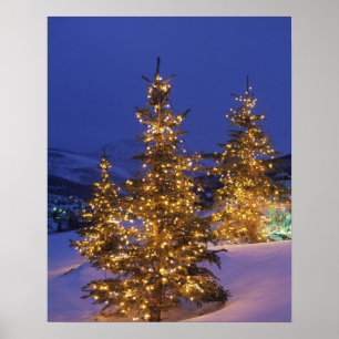 Weihnachtsbäume, Parkstadt, Müllberge, 2 Poster