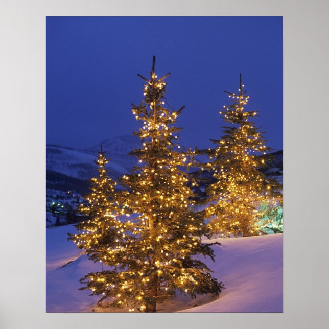 Weihnachtsbäume, Parkstadt, Müllberge, 2 Poster (Vorne)