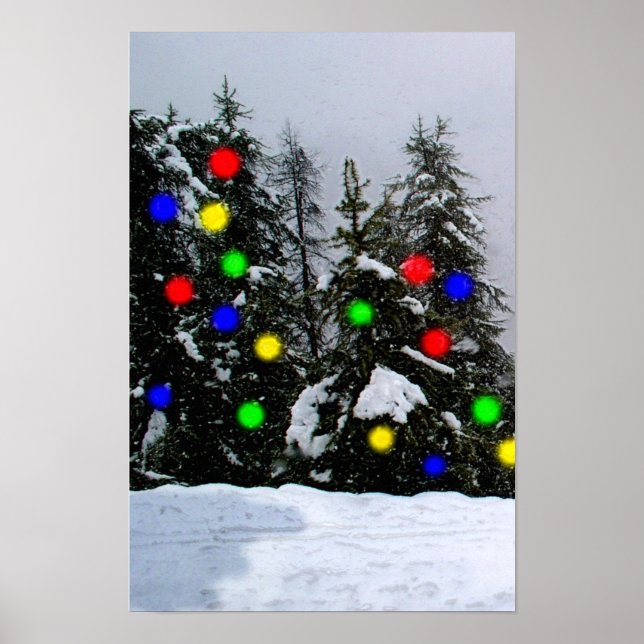 Weihnachtsbäume Poster (Vorne)