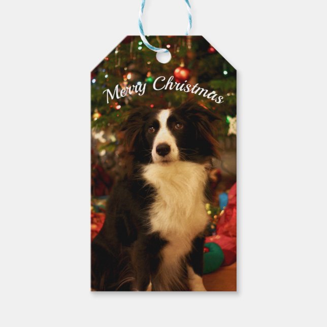 Weihnachtsbaumhund Geschenkanhänger (Vorderseite)