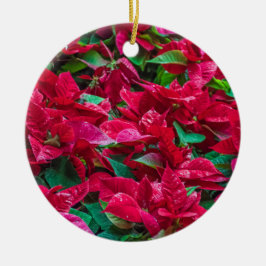 Weihnachtsbaumschmuck Poinsettia Keramik Ornament