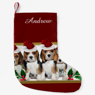 WeihnachtsBeaglewelpen Kleiner Weihnachtsstrumpf