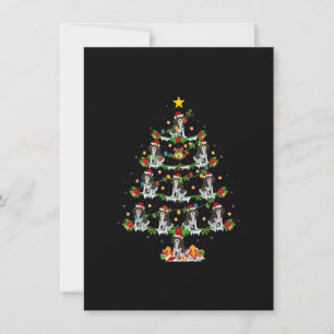 Weihnachtsbeleuchtung Cavalier King Charles Spanie Einladung