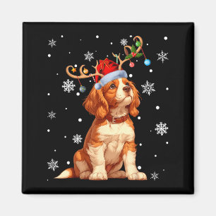Weihnachtsbeleuchtung Cavalier King Charles Spanie Magnet
