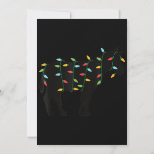 Weihnachtsbeleuchtung Esel Zoo Tierliebhaber Weihn Feiertagskarte