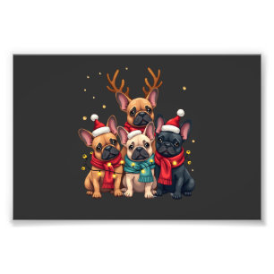 Weihnachtsbeleuchtung Französische Bulldoggen Xmas Fotodruck