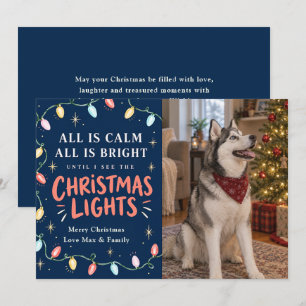 Weihnachtsbeleuchtung Katze oder Hund Foto Feiertagskarte