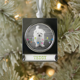 Weihnachtsbeleuchtung PET-FOTO-Anhänger Artisan Sp Banner-Ornament Silber
