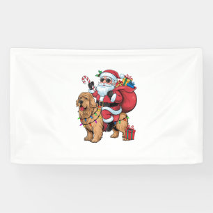 Weihnachtsbeleuchtung Weihnachtsfeiertage Golden R Banner