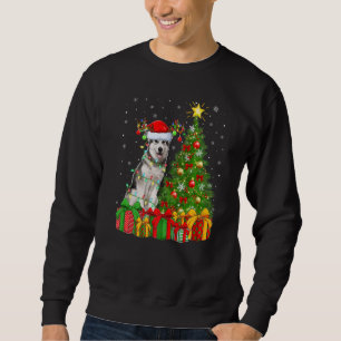 Weihnachtsbeleuchtung Weihnachtsmann Alaskan Malam Sweatshirt
