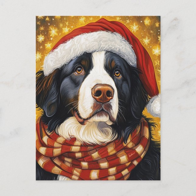 Weihnachtsberger Hund in der Weihnachtsmannmütze Postkarte (Vorderseite)