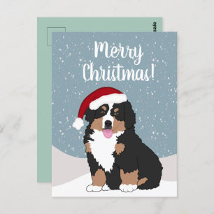 Weihnachtsberger Hund  Postkarte