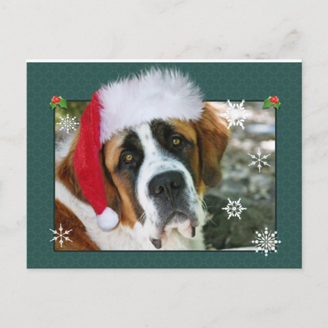 Weihnachtsbernhardiner-HundeFoto Feiertagspostkarte (Vorderseite)