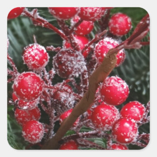 Weihnachtsberries. Quadratischer Aufkleber