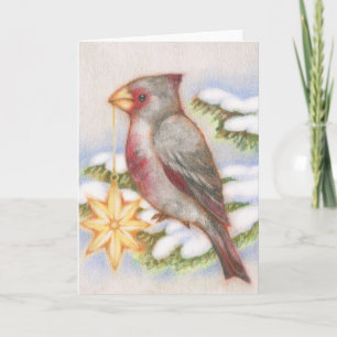 Weihnachtsbird Wüste Kardinal Star Ornament Card Feiertagskarte